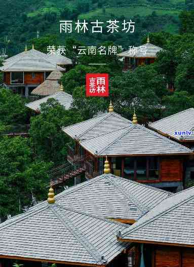 勐海雨林古茶坊园-勐海雨林古茶坊园工作