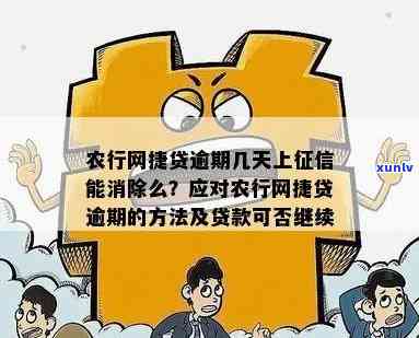 农业银行网贷逾期解决  及办理流程