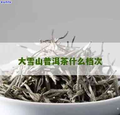 大雪山：属于什么档次的茶？价格如何？一文了解