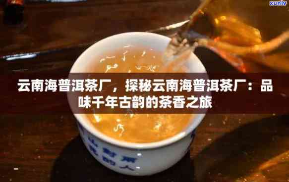 勐海古茶韵茶厂，探索古老韵味：探访勐海古茶韵茶厂