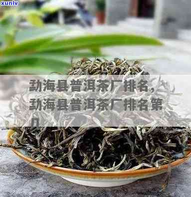 勐海茶厂的茶怎么样？口感如何？所属公司是哪家？