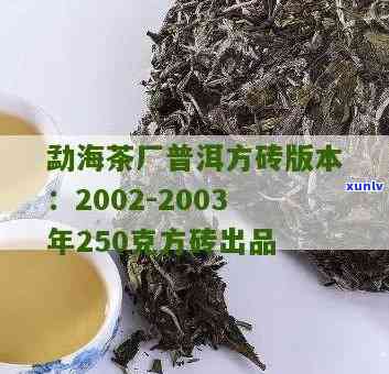 2003年勐海茶厂92方砖，探秘历：2003年勐海茶厂92方砖的起源与魅力