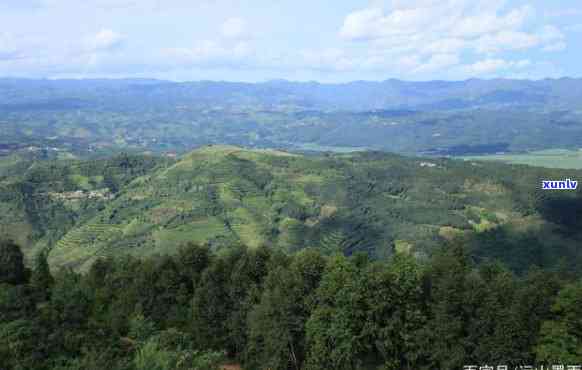 勐海县象山镇，探索云南西双版纳的神秘之地：勐海县象山镇