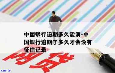 光大信用卡逾期还不起了怎么办，2020年光大信用卡逾期接受不了还款方式