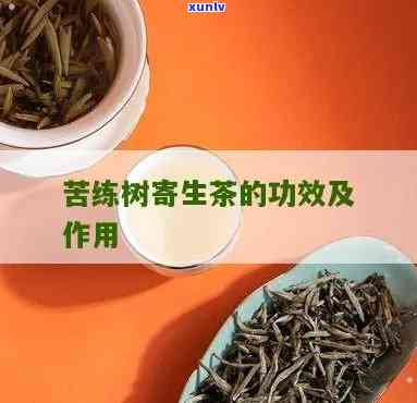 苦楝树寄生茶的作用-苦楝树寄生茶的作用与功效