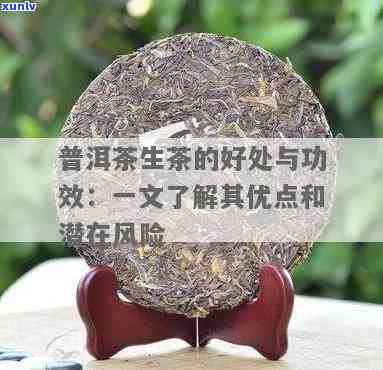 经常喝生茶对身体的影响：益处与风险全解析