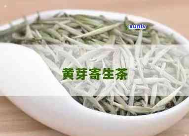 黄牙树寄生茶：揭示其功效与作用