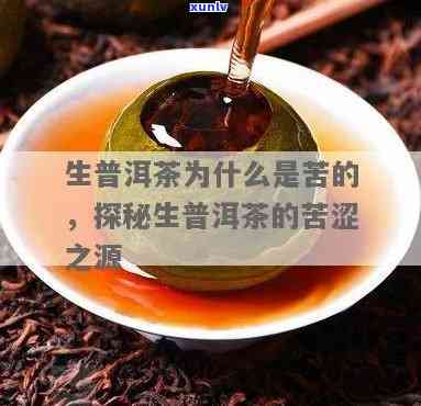 生茶苦涩是什么原因引起的，探究生茶苦涩的成因：揭开其背后的秘密