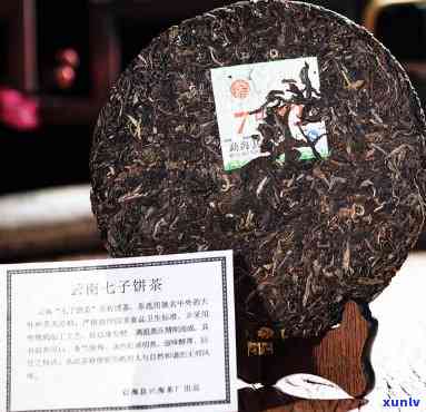 勐海县兴海茶厂7533：经典生茶与七子饼茶的双重享受