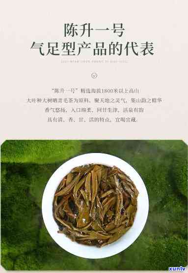 陈升号的生茶怎么样-陈升号生茶特点