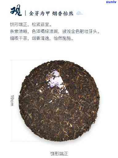 大益怡品普洱1401，探索普洱茶的奥秘：大益怡品普洱1401的口感与特点