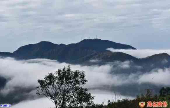 大雾岭旅游攻略：一日游路线全面指南