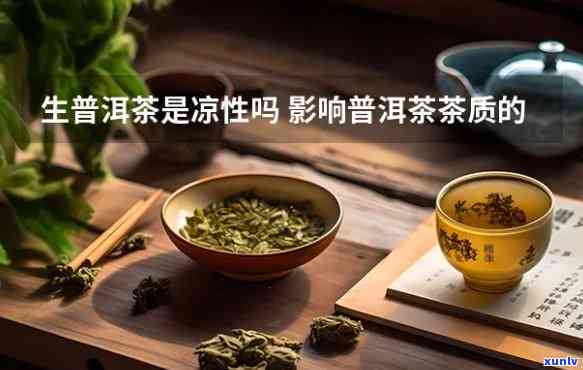 生茶是凉性的吗，探究茶叶性质：生茶是否为凉性？