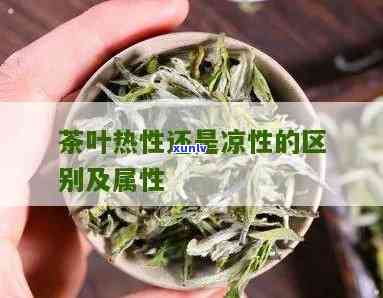 生茶是凉性的吗，探究茶叶性质：生茶是否为凉性？