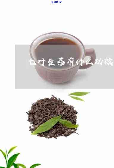 七叶生茶的功效与副作用全面解析