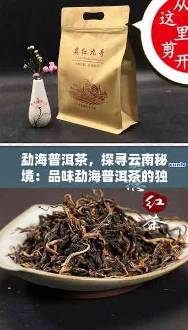 勐海裕福茶叶，品味云南：探索勐海裕福茶叶的神秘世界