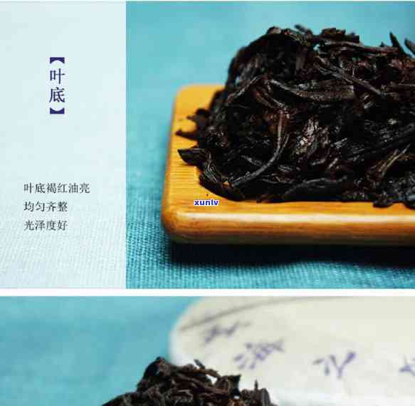 老同志帕沙生茶开-老同志帕沙熟茶有什么特别么