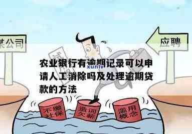 农业银行逾期记录能否申请人工消除？