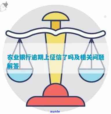 农业贷款逾期会否上？探讨其可能的作用与结果