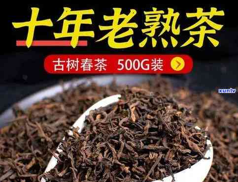 品味百年老生茶：感受与收获