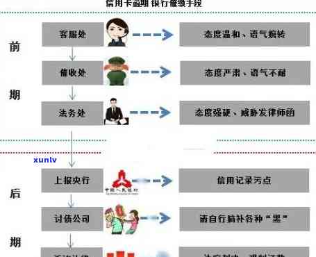 翡翠菩提手串的寓意、象征及其在文化中的深层含义：一份全面指南