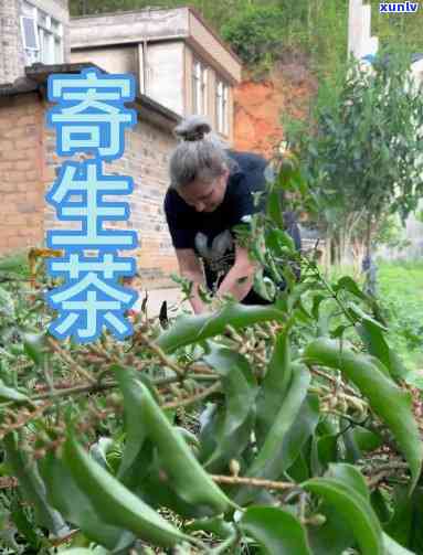 平安信用卡逾期半个算逾期吗？如何处理？逾期2天是否会上？欠款3千逾期半年的后果是什么？