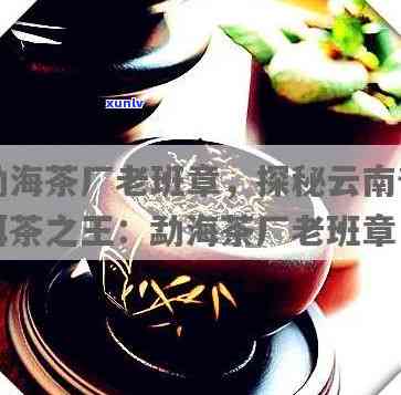 勐海茶厂经典老五样：老茶、老茶坊，尽在勐海老茶厂