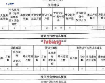 中国逾期查询：免费查询个人逾期情况