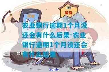 农业银行月供逾期-农业银行月供逾期怎么办