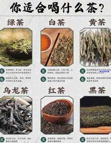 各种茶的搭配 *** 与口感技巧