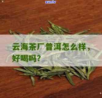 勐海云海茶厂怎么样啊，揭秘勐海云海茶厂：品质、口碑怎样？