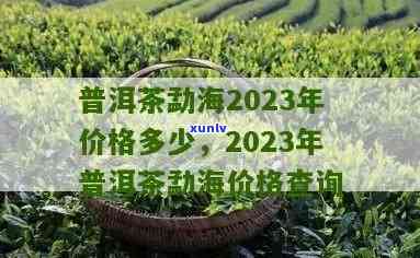 勐海天茶厂价目表2023年：了解最新产品价格与档次信息