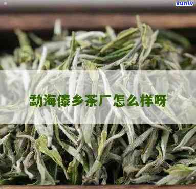 西双版纳勐海浩海茶厂：产品质量与公司介绍