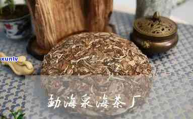 勐海泉海茶厂怎么样好不好，揭秘勐海泉海茶厂：产品品质、口碑评价如何？