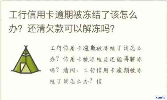 工商逾期冻结后还款能否解冻？