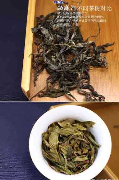 勐海顺海茶厂口碑，揭秘勐海顺海茶厂口碑，探究其茶叶品质与消费者评价