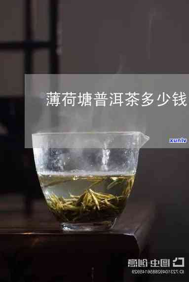 勐海清顺茶厂薄荷塘-勐海清顺茶厂薄荷塘价格