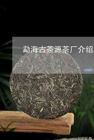 勐海古茶源茶厂介绍-勐海古茶源茶厂介绍资料