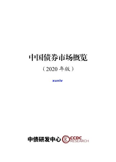 中国债券市场概览2020，深度解析：中国债券市场概览2020