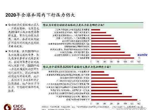 中国债券市场概览2020，深度解析：中国债券市场概览2020