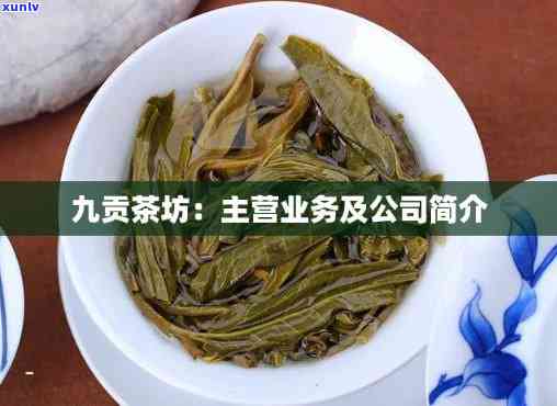 勐海九贡普洱茶业，探索高品质普洱茶：了解勐海九贡普洱茶业