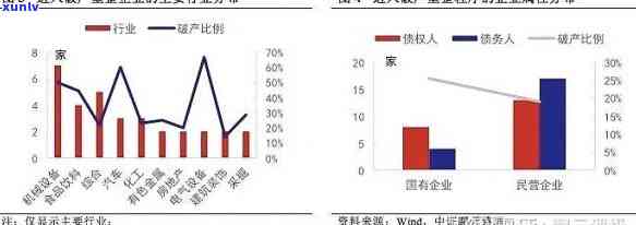 中国个人债务违约潮2020：现状与趋势分析