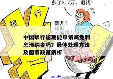 小青柑核心产区：探秘优质柑橘园的秘密