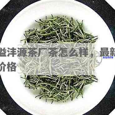 勐海溢沣源茶厂产品-勐海溢沣源茶厂产品怎么样