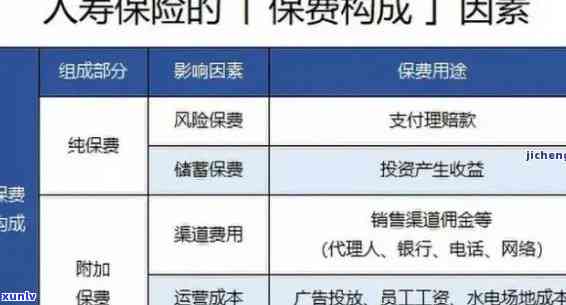 中国人寿保费逾期解决方案：怎样解决、办理及解决？