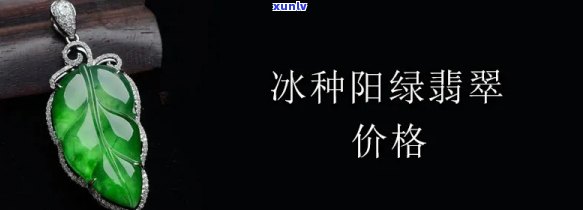 冰种正阳绿翡翠价格，探究冰种正阳绿翡翠的价格走势与市场价值