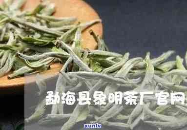 勐海县象明茶厂茶价格，最新勐海县象明茶厂茶叶价格一览