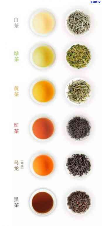 勐海县鸿福茶厂出品的茶叶种类全览