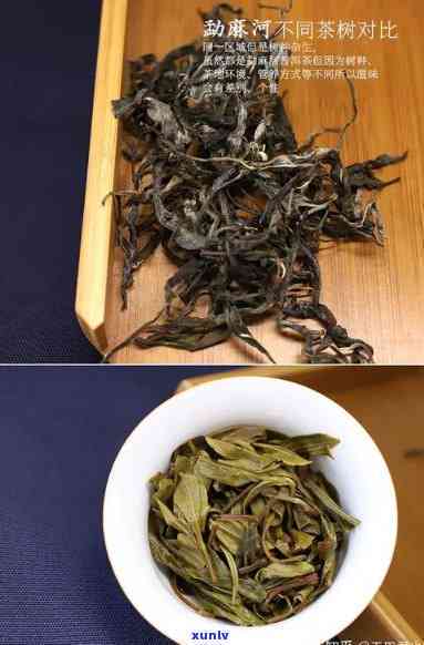 勐海县和茶厂产品，品味云南：探索勐海县和茶厂的优质茶叶产品