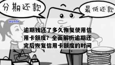 发逾期还款后多久能恢复正常采用及额度？